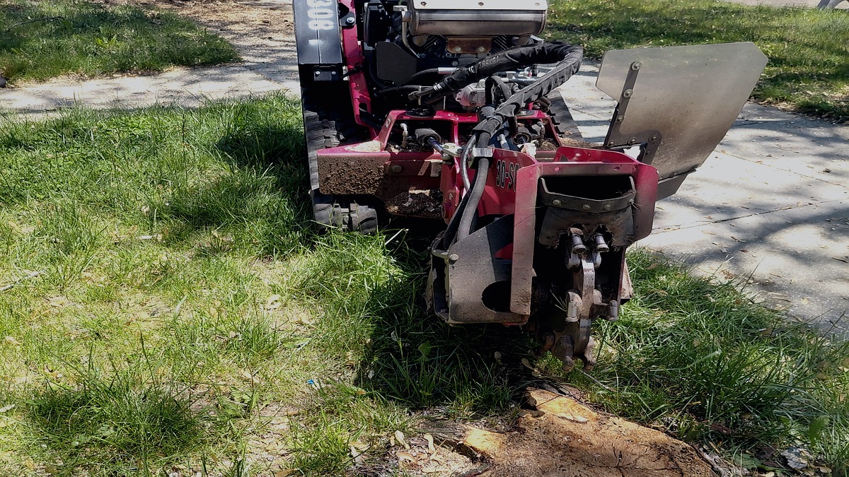 Stump grinding in residential lawn