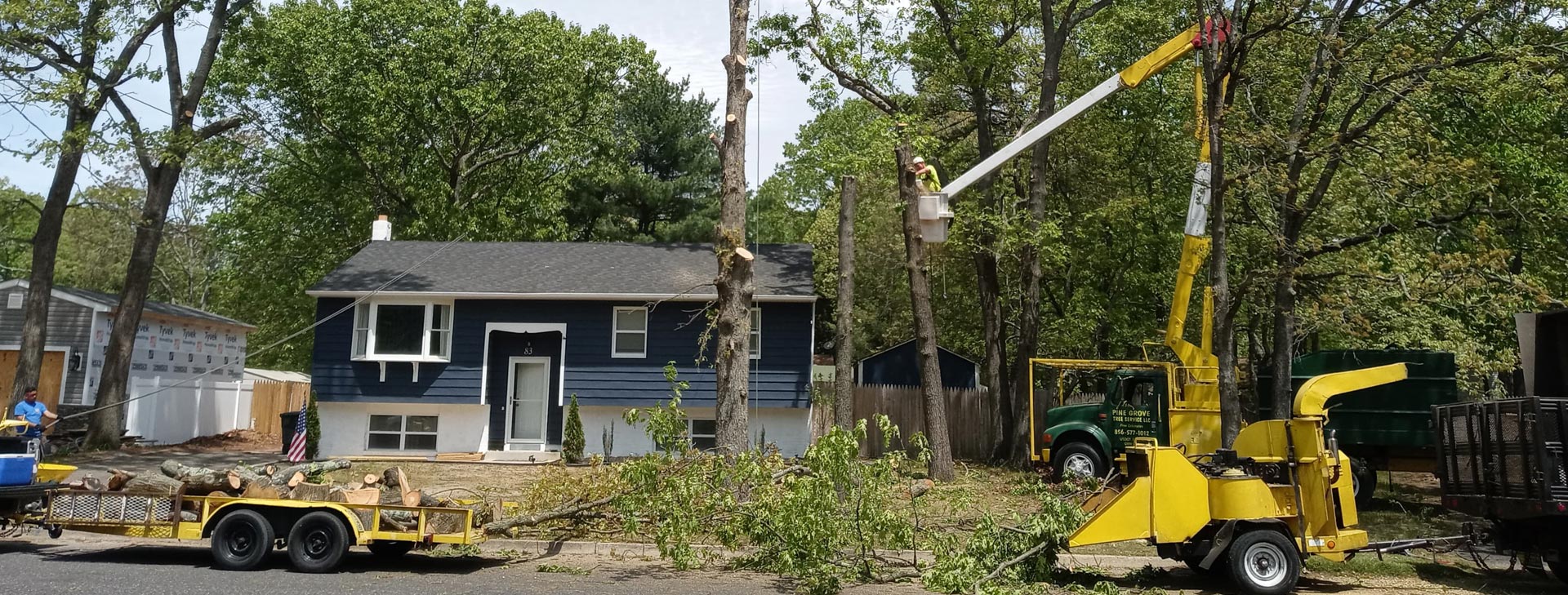 Best Tree Cutting Service in NJ